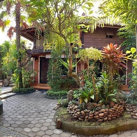 The Arya Guest House 길리마눅 외부 사진